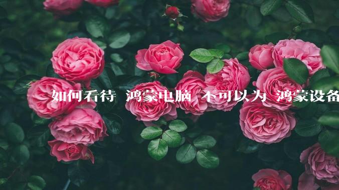 如何看待 鸿蒙电脑 不可以为 鸿蒙设备 做软件开发？