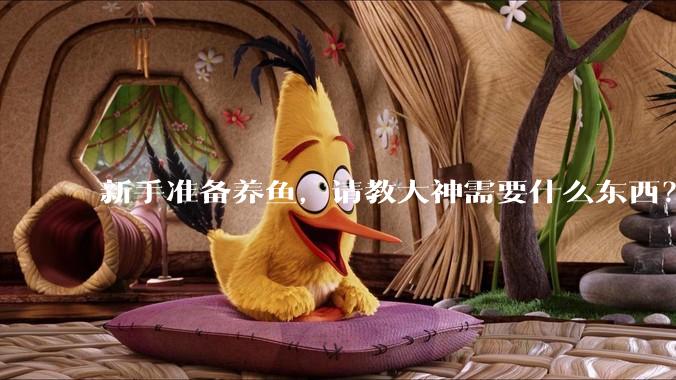 新手准备养鱼，请教大神需要什么东西？