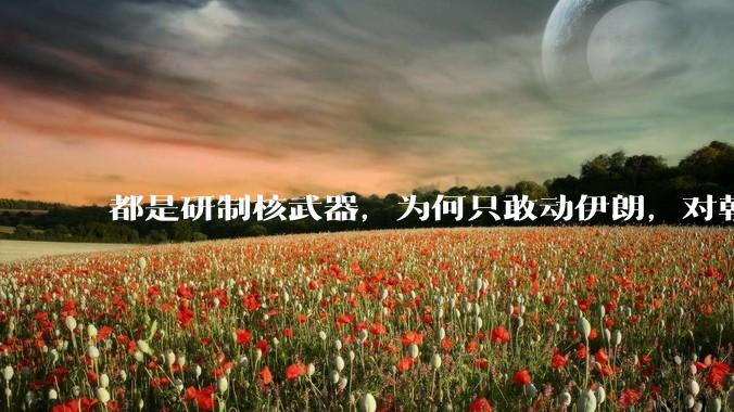 都是研制核武器，为何只敢动伊朗，对朝鲜确畏首畏尾？