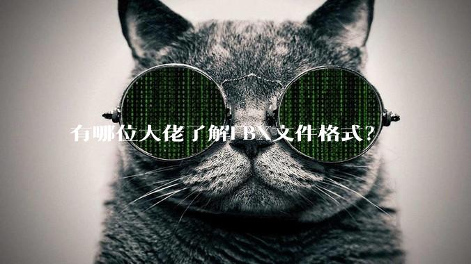 有哪位大佬了解FBX文件格式？