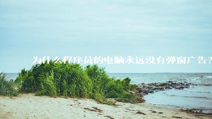 为什么程序员的电脑永远没有弹窗广告？