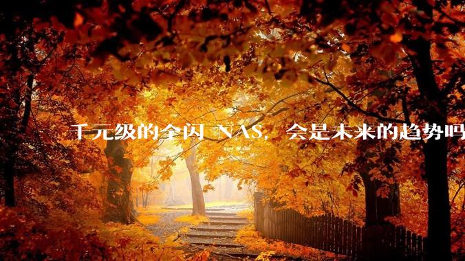千元级的全闪 NAS，会是未来的趋势吗？