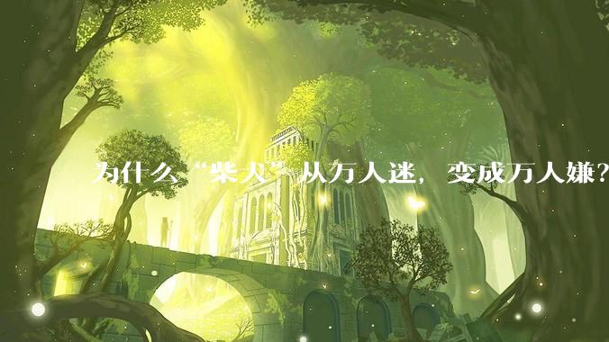 为什么“柴犬”从万人迷，变成万人嫌？