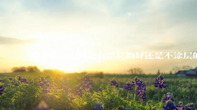 电饭煲的内胆是有涂层的好还是不涂层的好？纠结这买哪种?