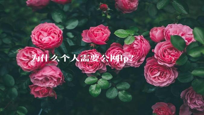 为什么个人需要公网ip？