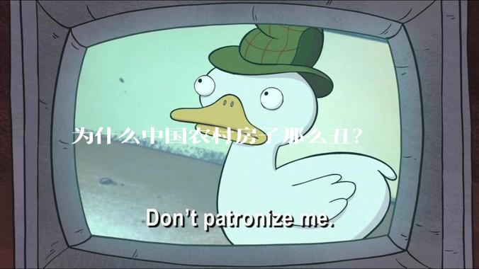 为什么中国农村房子那么丑？
