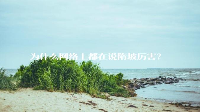 为什么网络上都在说隋坡厉害？
