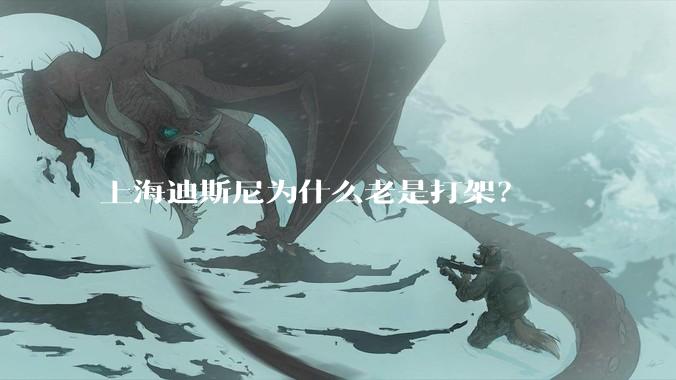 上海迪斯尼为什么老是打架？