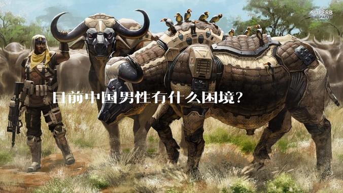 目前中国男性有什么困境？