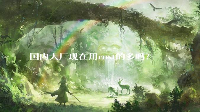 国内大厂现在用rust的多吗？