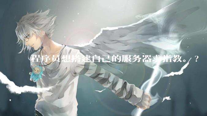 程序员想搭建自己的服务器求指教。?