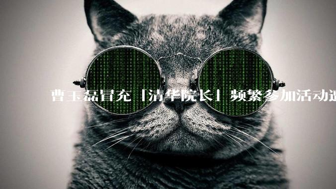 曹玉磊冒充「清华院长」频繁参加活动遭官方打***，他为何能堂而皇之以***身份开展活动？其将受到哪些处罚？